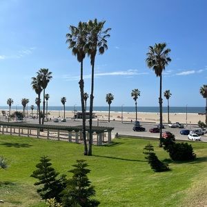 Meet your Posher, Frida